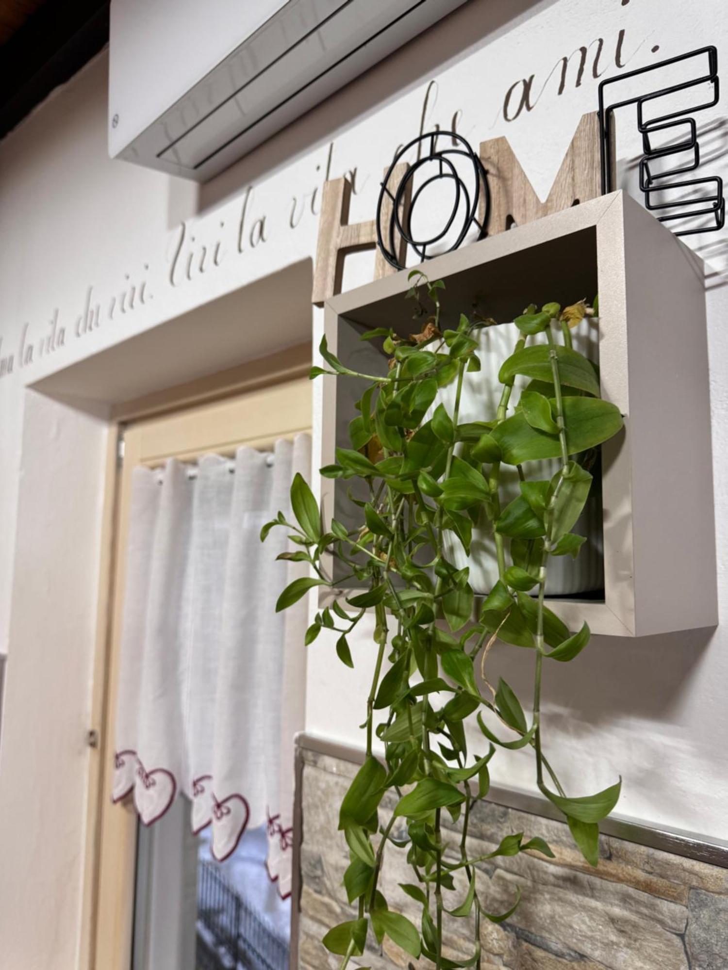 Residenze Vezza - Home Sweet Home- Vezza d'Oglio Exterior photo